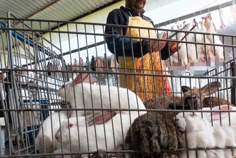 53815828612 3c6348180b c.jpg