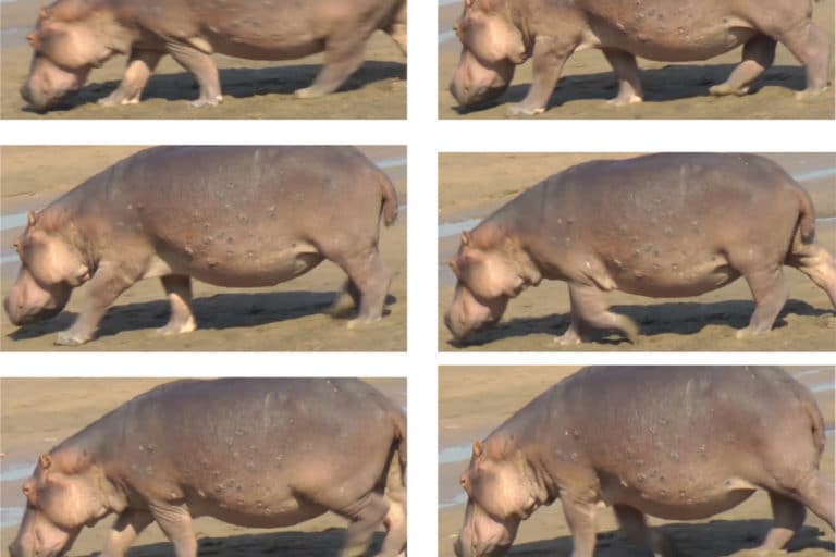 9FF5C7C8 DFD8 41BF AA12 286F5081483F.jpeg