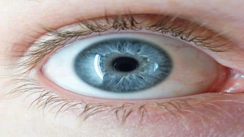A blue eye 1 500x281.jpg