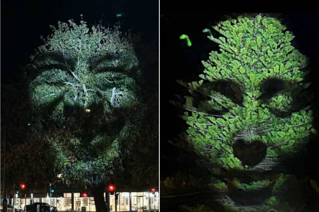 Alberi opere darte.jpg