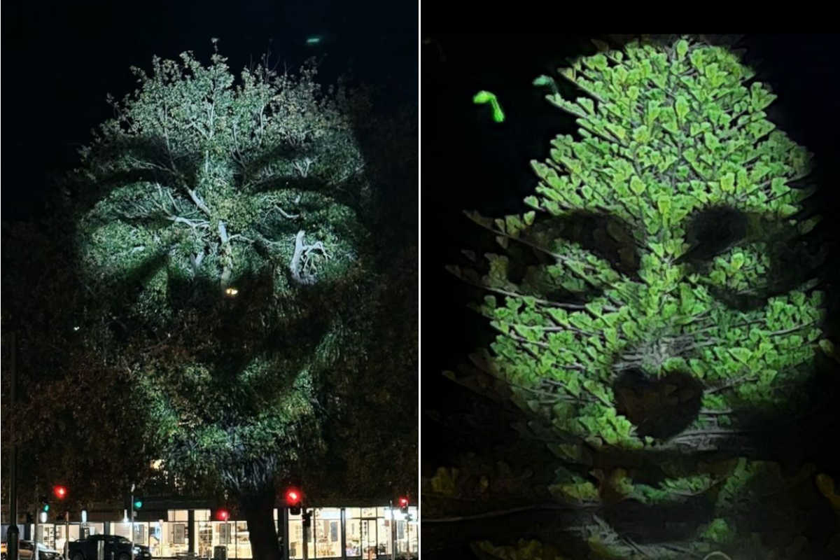 Alberi opere darte.jpg