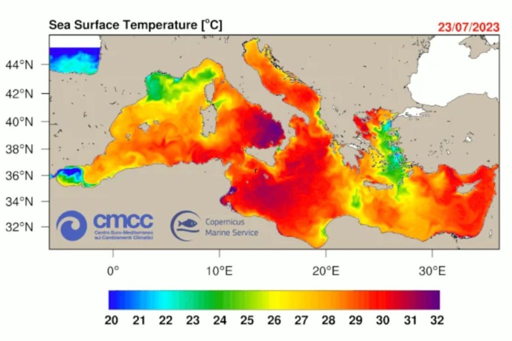 Caldo Adriatico Mediterraneo.jpg