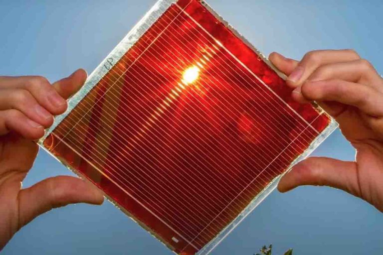 Celle solari Swift Solar.jpg