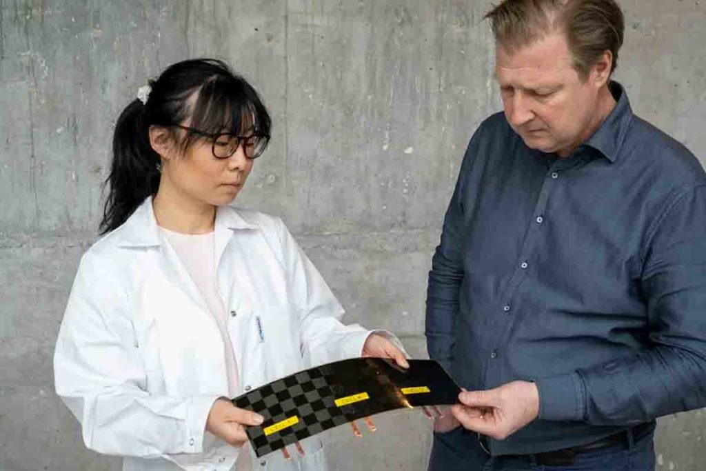 Chalmers University of Technology batteria in fibra di carbonio.jpg