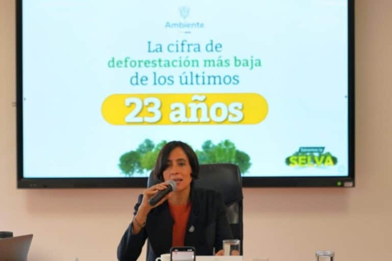 Colombia deforestazione.jpg