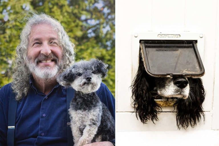 Comedy Pet Photo Awards.jpg