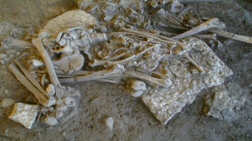 Fralsegarden Passage Grave Skeleton 777x583 1 500x281.jpg