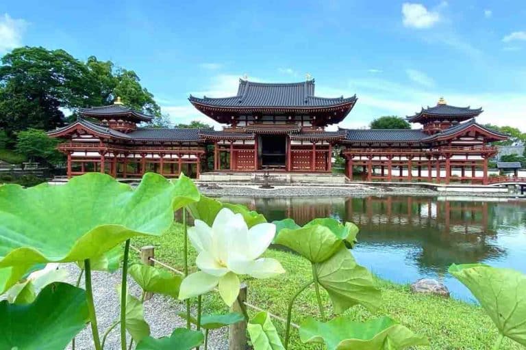 Loto al Tempio di Byodo in.jpg