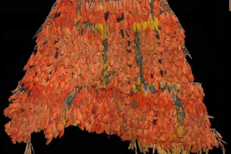 Il Mantello sacro Tupinambá torna finalmente in Brasile (dopo essere stato trafugato in Danimarca) 3 Mantello Tupinamba.jpg