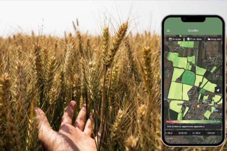 Molini Pivetti 1.jpg