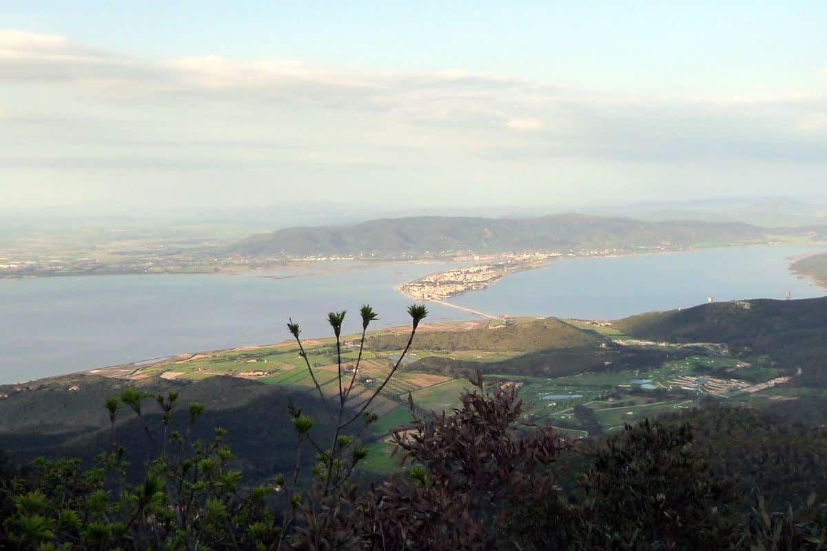 Orbetello moria di pesci.jpg