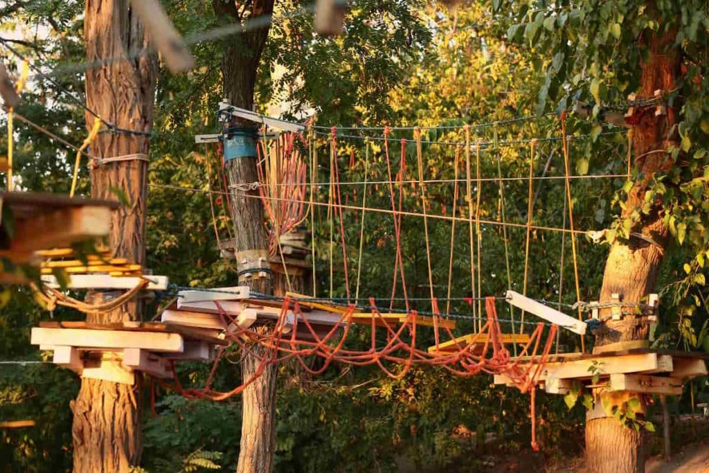 Parco avventura.jpg