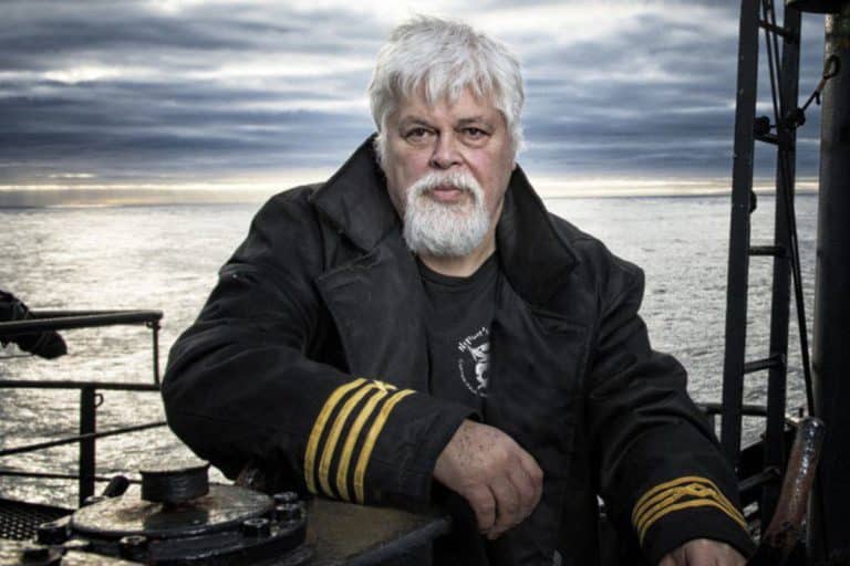 Paul Watson.jpg