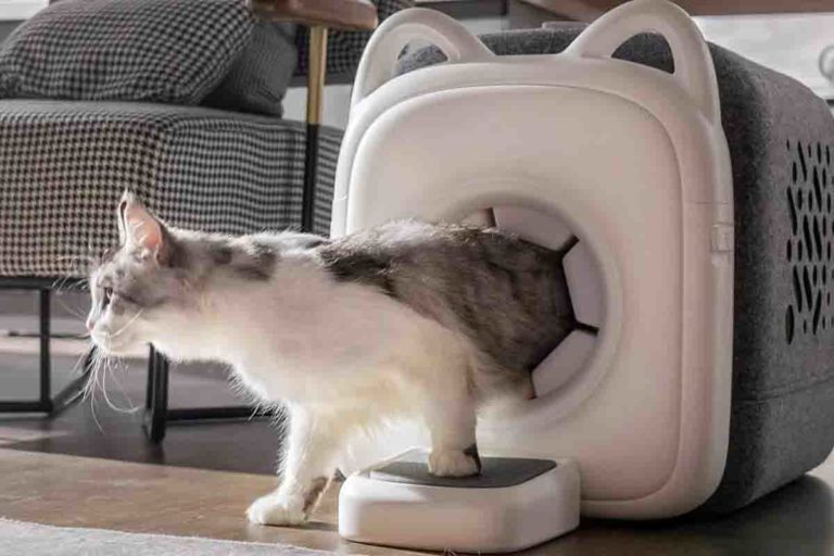 PawSwing cuccia da toelettatura.jpg