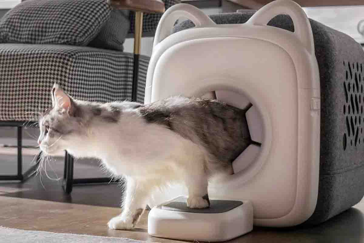 PawSwing cuccia da toelettatura.jpg