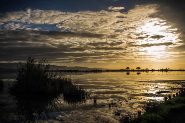 Non solo mare: 5 itinerari da fare a piedi o in bicicletta a Quartu Sant’Elena e dintorni 5 Quartu SantElena.jpg