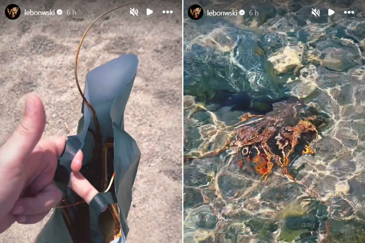 Salmo libera un’aragosta in mare invece di mangiarla: “mi ha guardato negli occhi e non ce l’ho fatta” 1 Salmo aragosta.jpg