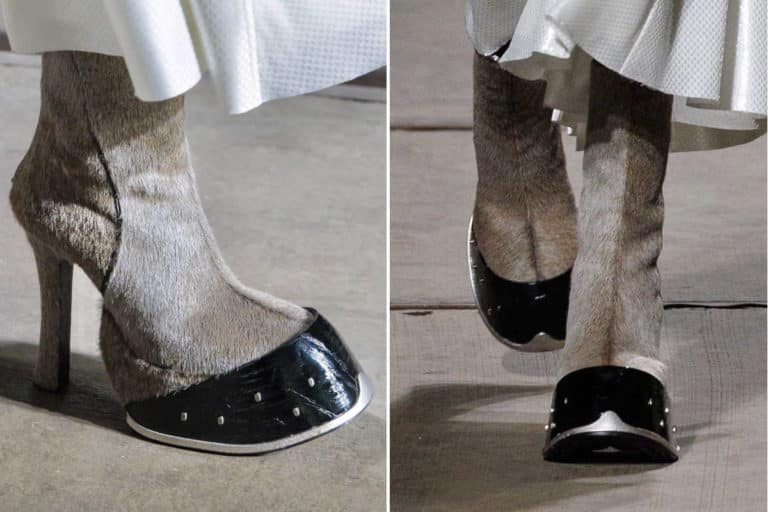 Scarpe cavallo.jpg