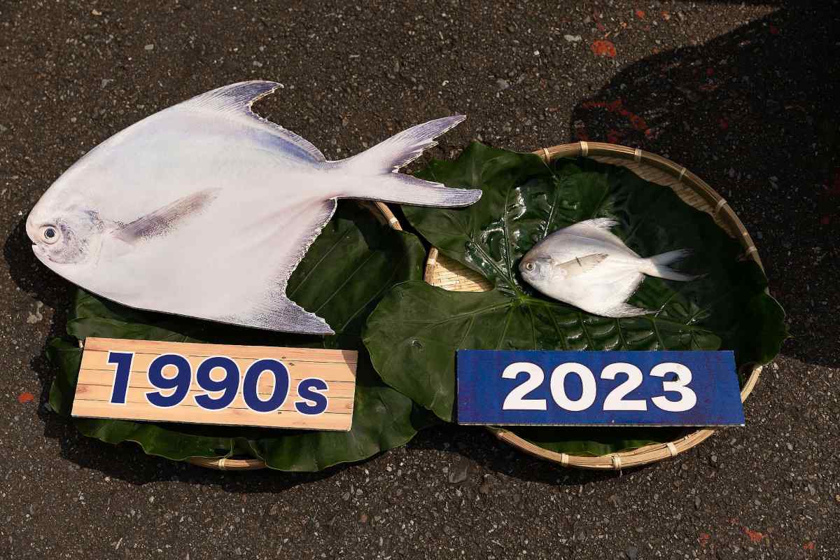 Taiwan biodiversita.jpg