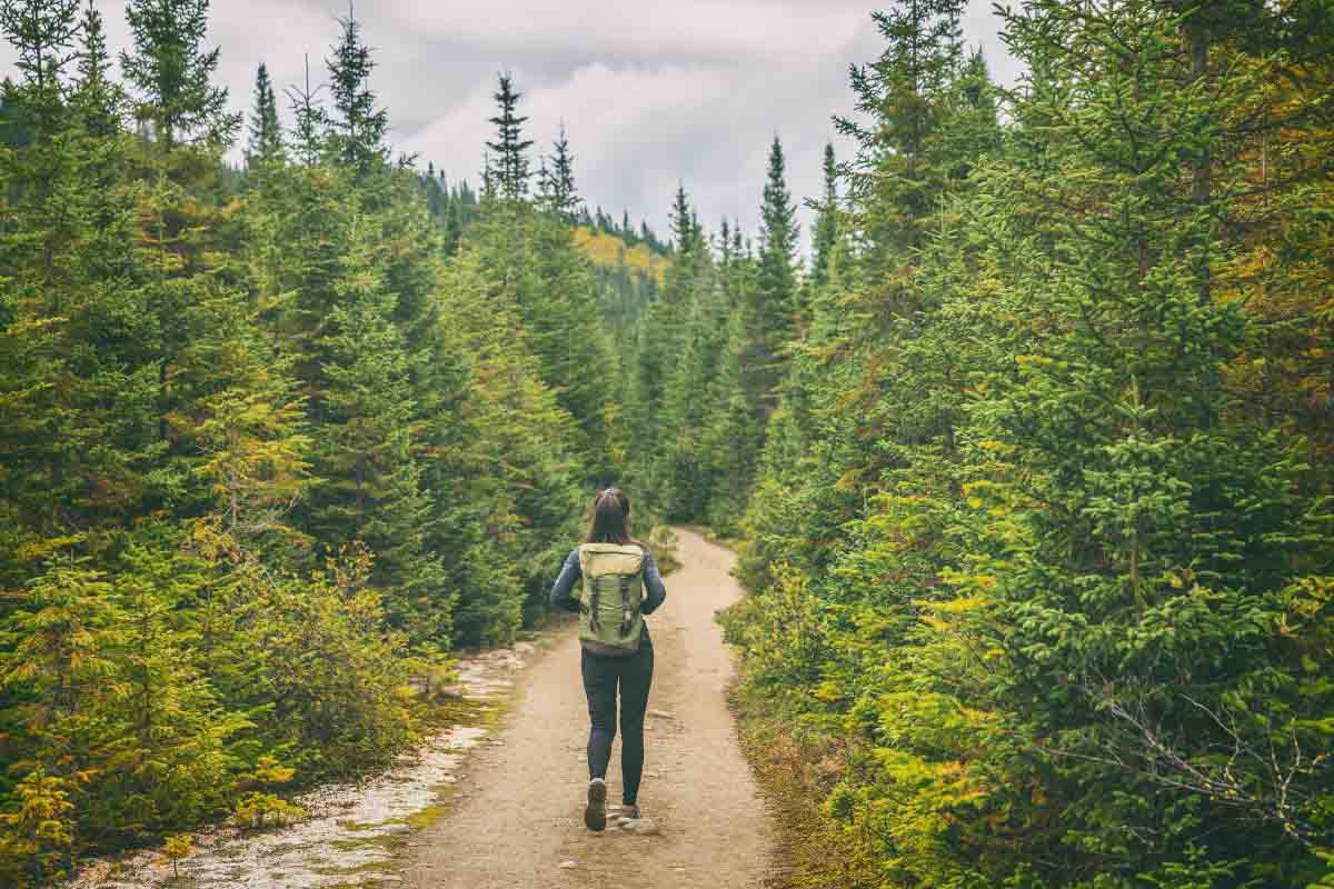 Waldeinsamkeit copia.jpg