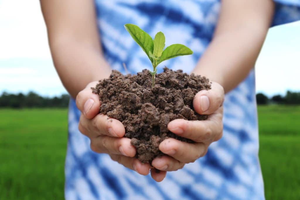 agricoltura biologica.jpg