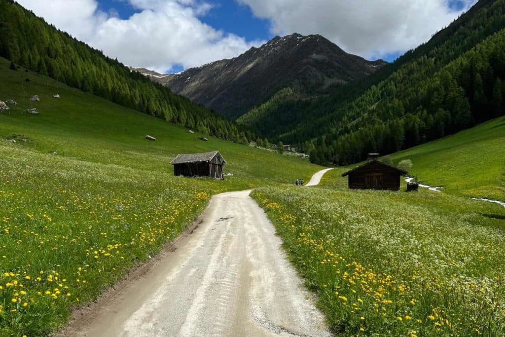 alto adige.jpg