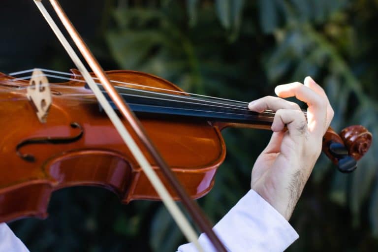 antico violino ritrovamento rifiuti.jpg
