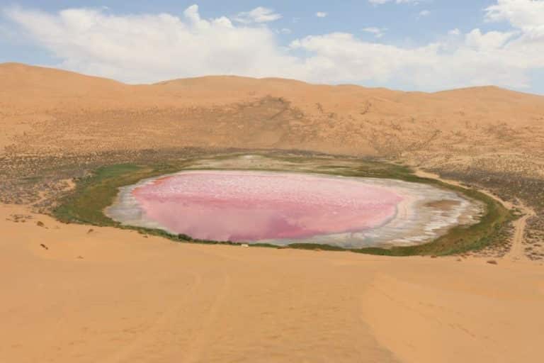 badan deserto.jpg