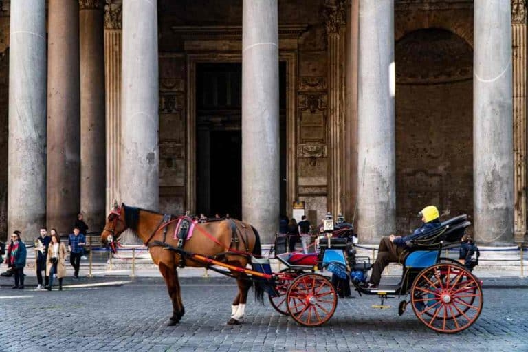 botticelle roma.jpg