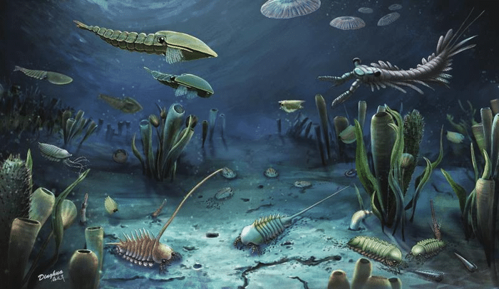 cambrian explosion m 1.png