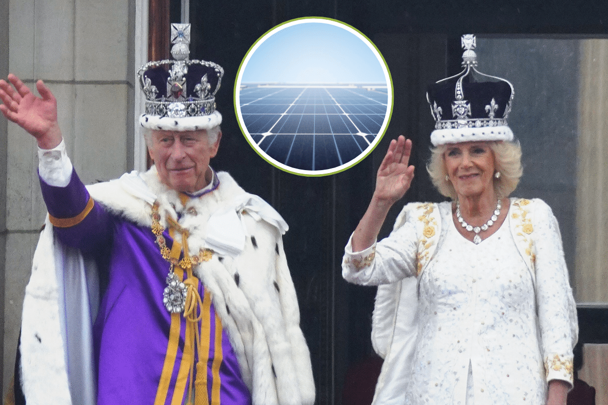 Re Carlo punta al sole e fa installare i pannelli fotovoltaici a Windsor Castle 1 carlo.png