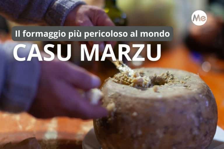 casu marzu.jpg