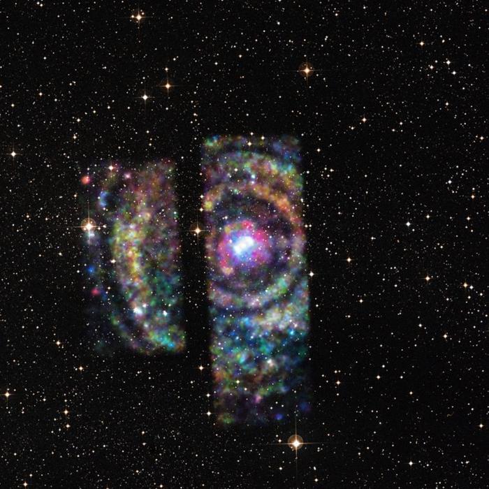 circinus m.jpg