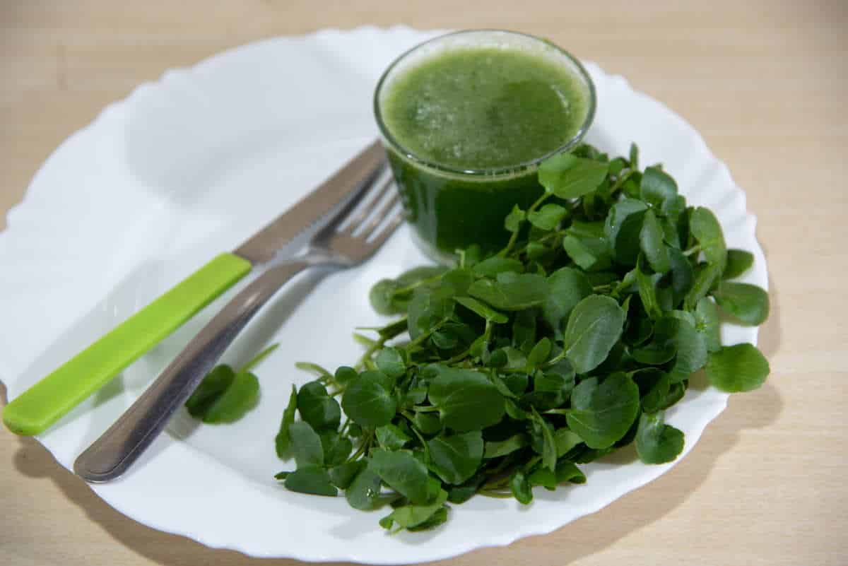 Questo superfood è l’alimento più salutare al mondo: lo mangi anche tu? 1 crescione.jpg