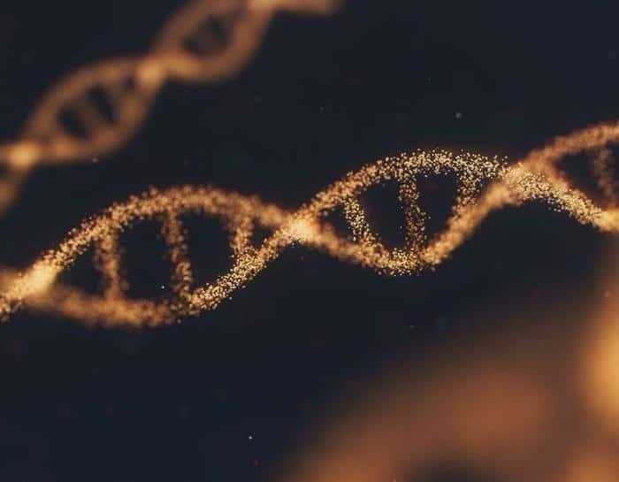 Il DNA più antico del mondo: scoperte e segreti 1 dna m.jpg