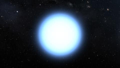 fig1 12.jpg