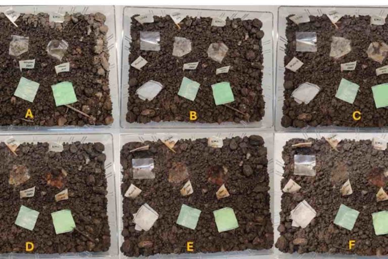 imballaggi orzo biodegradabili.jpg