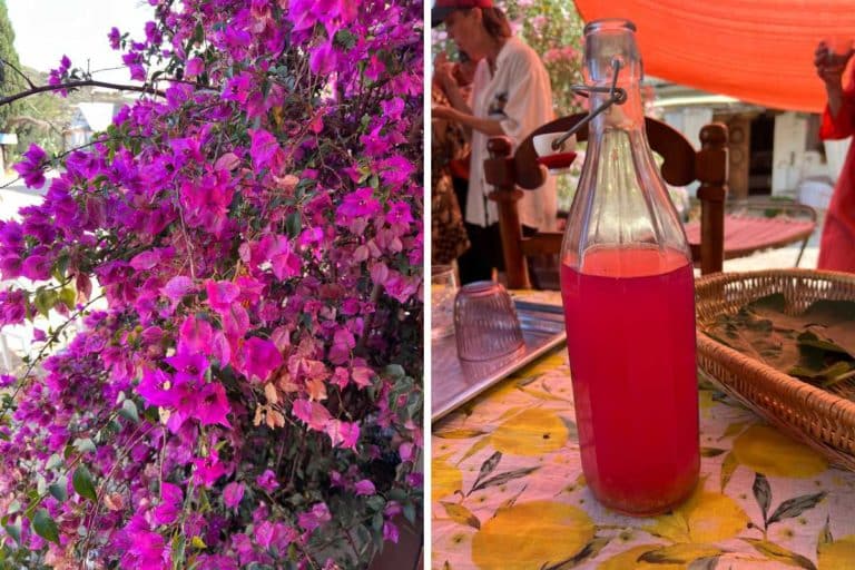 limonata di bouganville.jpg