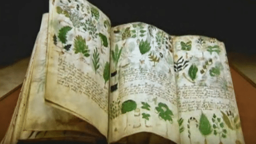 manoscritto voynich 500x281.png