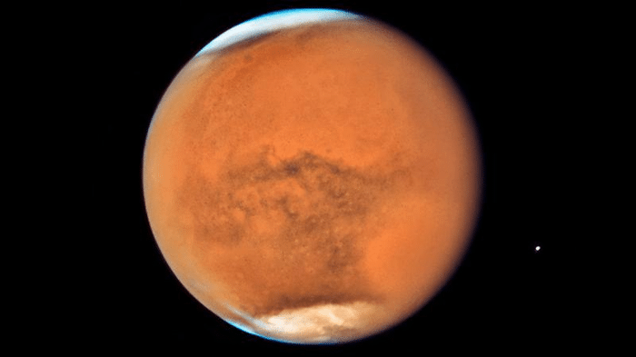Marsbee: Robot Api per Esplorare Marte 1 marsbees m 1.png