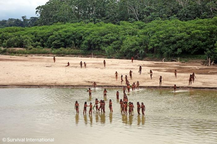 Tribù non contattata minacciata dall’abbattimento in Amazzonia peruviana 1 mashco piro m 1.jpg