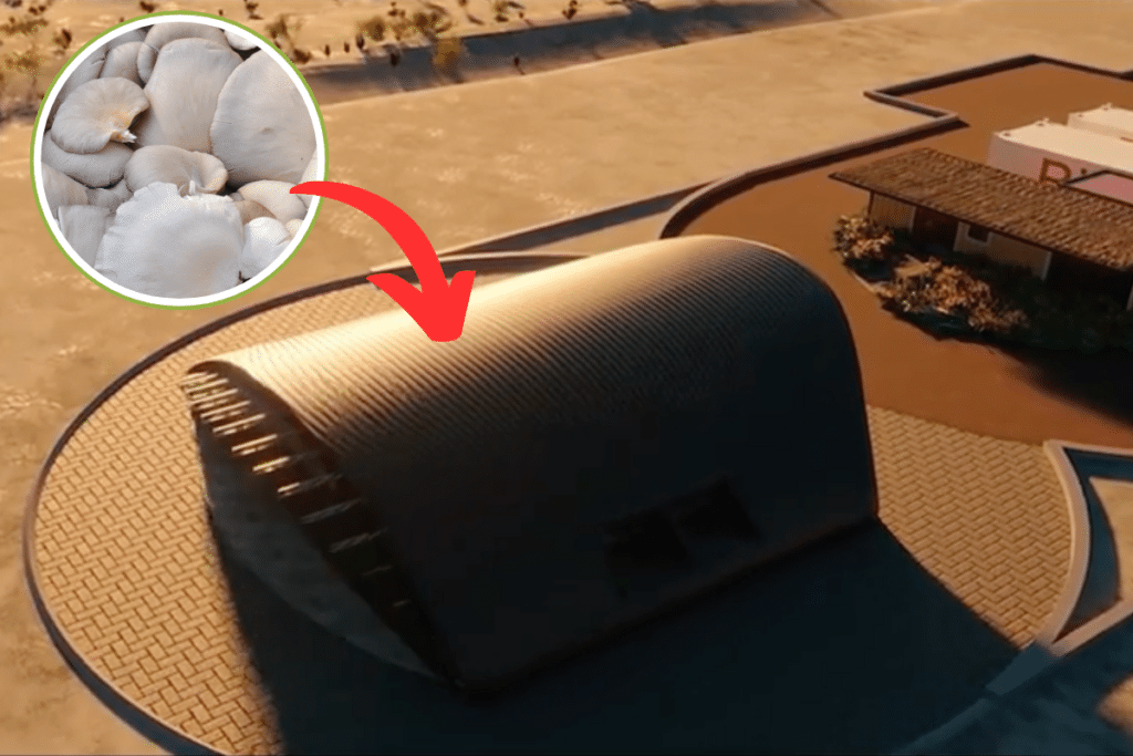 mycohab.png