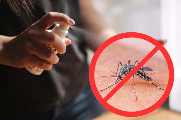 non buttare nella compostiera.jpg