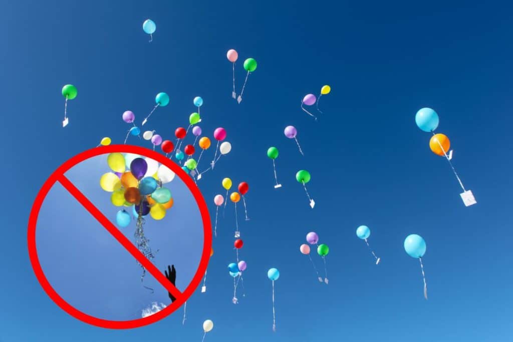 palloncini vietati.jpg