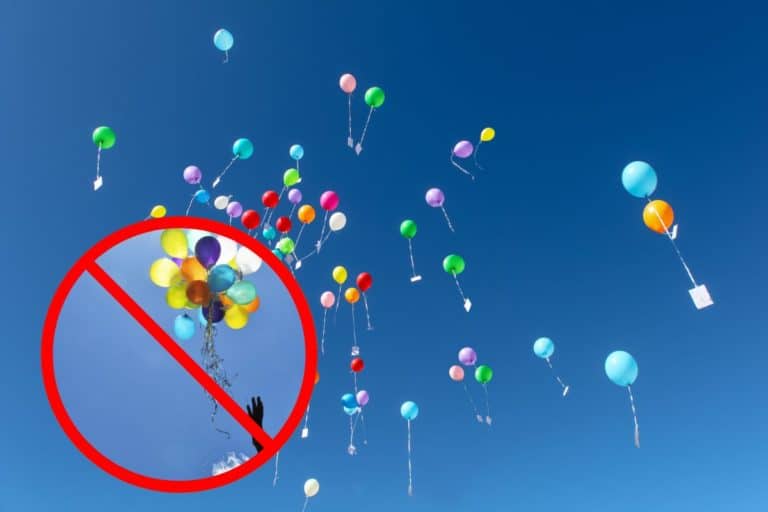 Palloncini vietati in questo Stato americano: multe fino a 250 dollari per chi li rilascia in aria 7 palloncini vietati.jpg