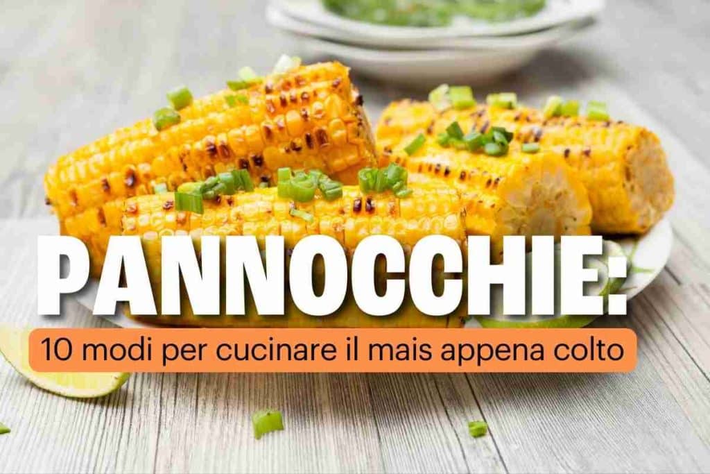 pannocchie.jpg