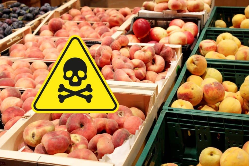 pesticidi nelle pesche.jpg
