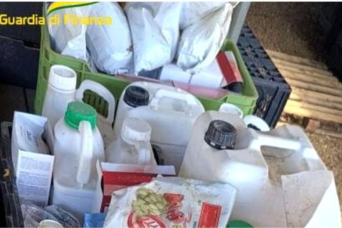 Ancora caporalato e più di 600 litri di pesticidi illegali sequestrati in provincia di Latina 1 pesticidi sequestrati.jpg