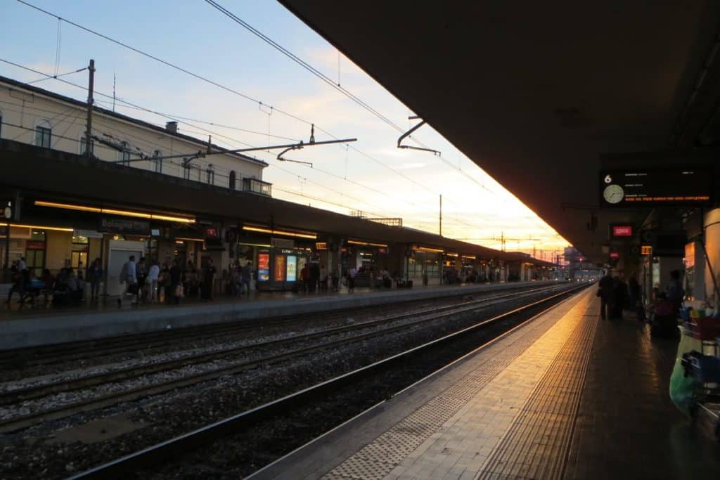 pitbull treno regionale bologna.jpg