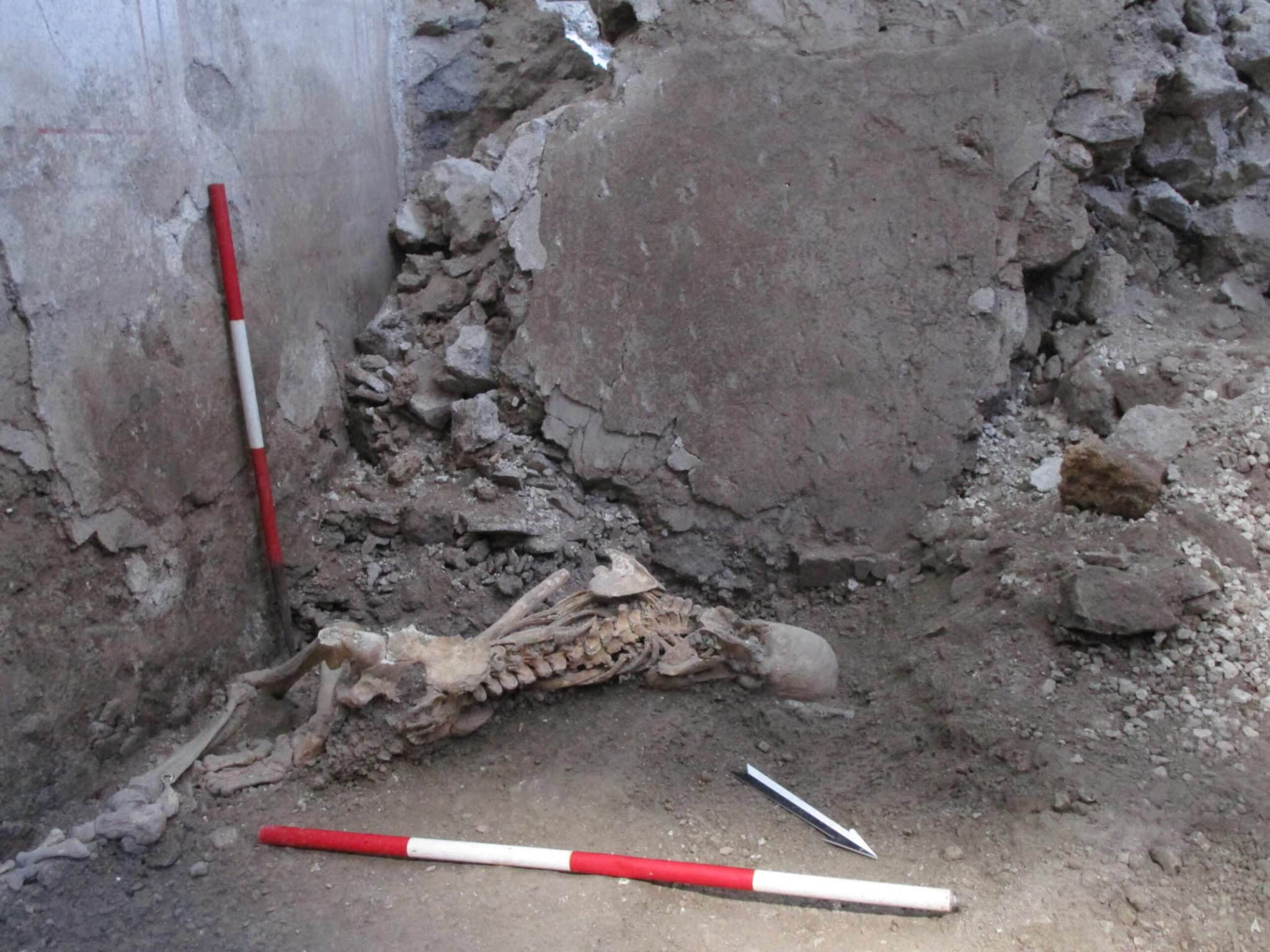 scheletri pompei